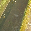 Plants: image 87 Of 102 Thumb
